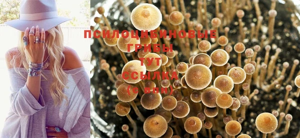 мефедрон мука Армянск
